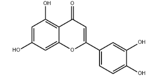 木樨草素
