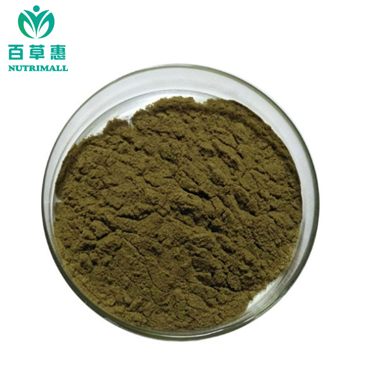 Echinacea Extract