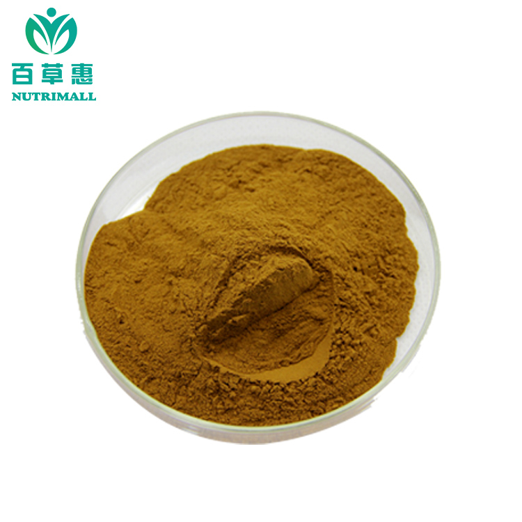 Dodder Seed Extract