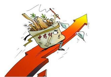 中药材大涨价，化工原料竞相飞涨，准备好了吗？